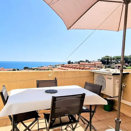 Banyuls-sur-mer, 2 Pièces, 4 Personnes - Fr-1-309-53 *